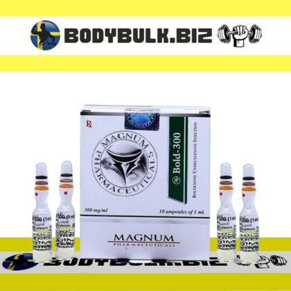 MAGNUM BOLD 300
