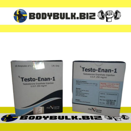 TESTO-ENAN AMP