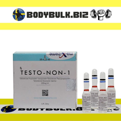 TESTO-NON-1